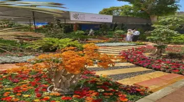 بعد افتتاحه للجمهور.. تكلفة تذاكر معرض الزهور ومواقف السيارات وأسهل طرق الوصول